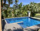 Swimming pool surrounded by tropical plants and trees