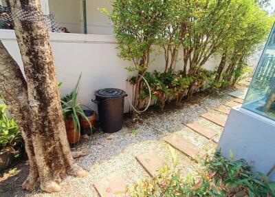 Backyard with pathway and greenery