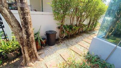 Backyard with pathway and greenery