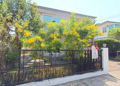 A residential building with yellow flowering plants in the front yard