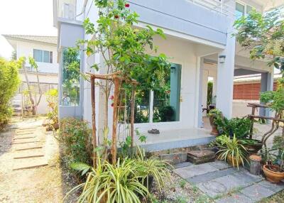 Front garden and entrance of a modern house