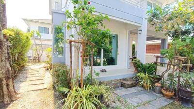 Front garden and entrance of a modern house