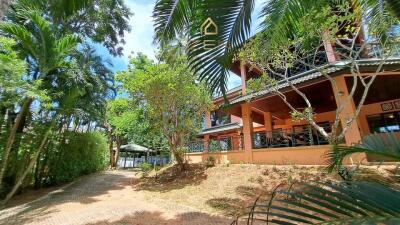 Classy Villa with 4 Bedrooms in Chalong for Rent