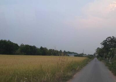 Countryside road and field
