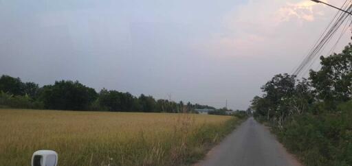 Countryside road and field