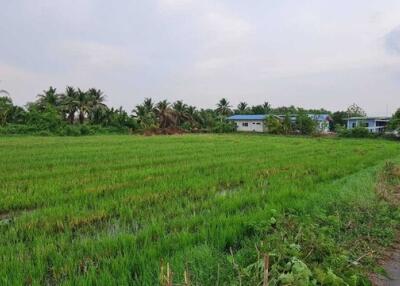 Scenic view of a large green field with houses and trees in the background