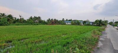 Scenic view of a large green field with houses and trees in the background