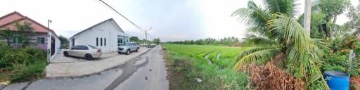 Street view with houses, parked cars, and greenery