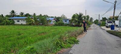 Suburban area with a man standing on a road next to green fields and houses in the background