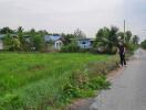 Suburban area with a man standing on a road next to green fields and houses in the background