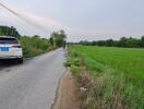 Countryside road next to a green field with parked cars