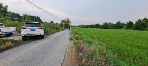 Countryside road next to a green field with parked cars