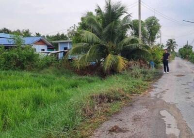 Rural road with house and greenery