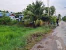 Rural road with house and greenery