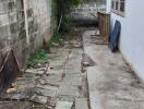 Backyard with concrete and brick walkway