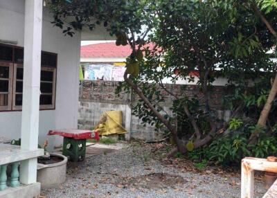 Outdoor area with trees and a small building