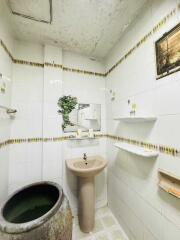 Small bathroom with plant decor and ceramic sink