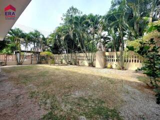 Spacious backyard with palm trees and grass area