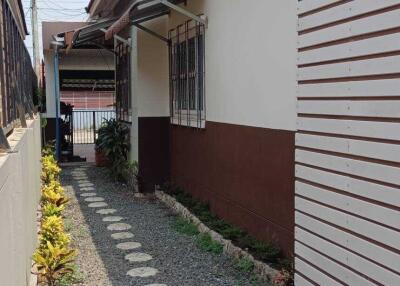 Pathway Alongside House with Plants