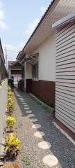 Pathway Alongside House with Plants