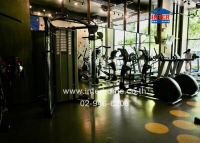 Modern gym with various exercise equipment