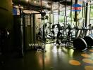 Modern gym with various exercise equipment