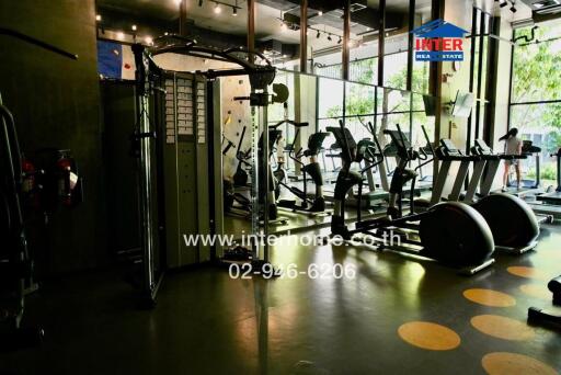 Modern gym with various exercise equipment