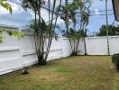 Backyard with palm trees and white fence