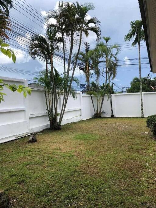 Backyard with palm trees and white fence