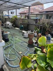 Outdoor garden space with various plants and gardening equipment