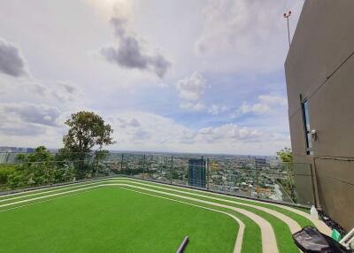 Rooftop view with artificial grass and panoramic cityscape