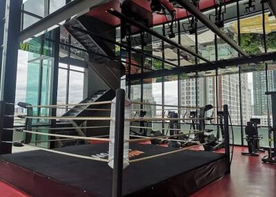 Well-equipped gym with a boxing ring and modern gym equipment