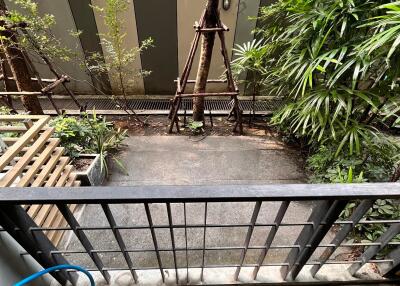 Balcony with a view of greenery and potted plants