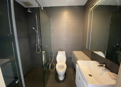 Modern bathroom with shower and toilet