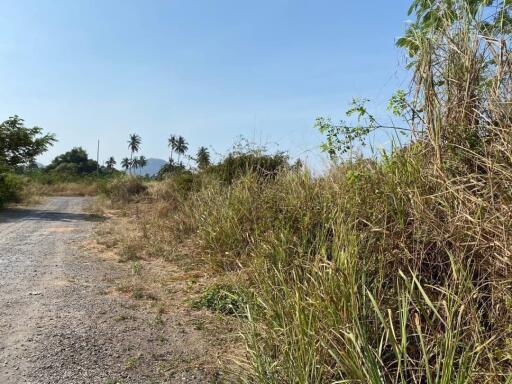 Land For Sale At Najomtien