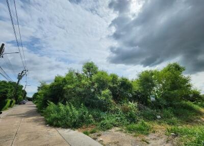 vacant plot of land with greenery