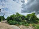 vacant plot of land with greenery