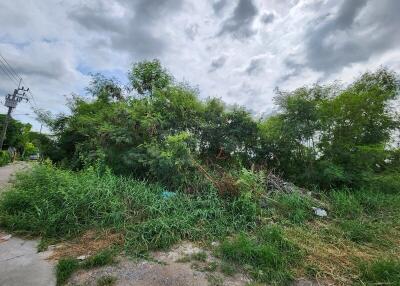A plot of land with dense vegetation and cloudy sky