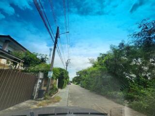 Street view with houses and greenery