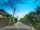 Street view with houses and greenery