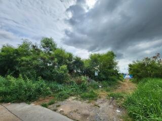Overgrown path with cloudy sky and greenery