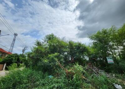 Overgrown plot of land with cloudy sky