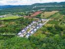 Aerial view of a residential neighborhood surrounded by greenery