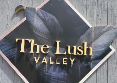 The Lush Valley sign on a concrete wall