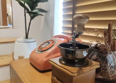 Vintage kitchen corner with coffee grinder and retro phone