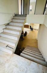 Staircase and landing area in a multi-level building