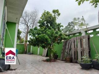 Spacious outdoor area in the property with potted plants and trees.