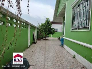 Paved backyard with green-painted walls and a small garden area.