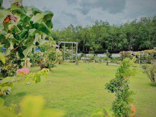 Lush garden with various plants and greenery