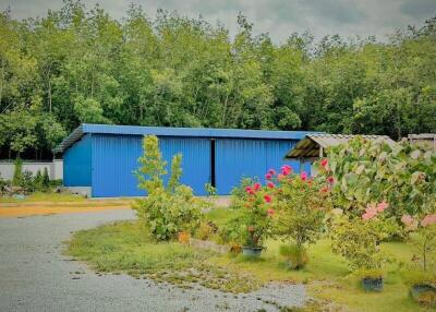 Outdoor view with blue buildings and plants